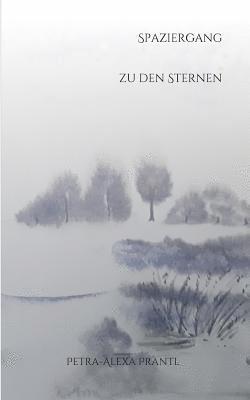 bokomslag Spaziergang zu den Sternen