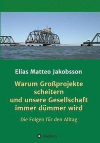 bokomslag Warum Großprojekte scheitern und unsere Gesellschaft immer dümmer wird