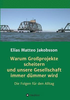 Warum Großprojekte scheitern und unsere Gesellschaft immer dümmer wird 1