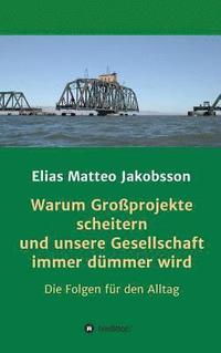 bokomslag Warum Großprojekte scheitern und unsere Gesellschaft immer dümmer wird