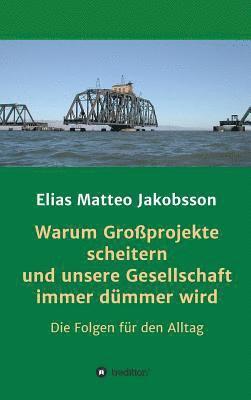 bokomslag Warum Großprojekte scheitern und unsere Gesellschaft immer dümmer wird