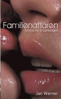 bokomslag Familienaffären