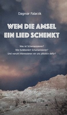 bokomslag Wem die Amsel ein Lied schenkt