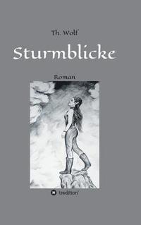 bokomslag Sturmblicke