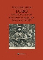 bokomslag Lobo: Episoden aus dem Befreiungskampf der Sandinisten 1979