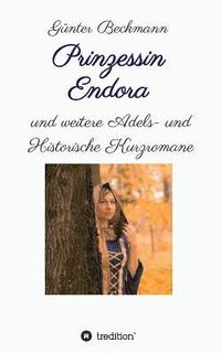 bokomslag Prinzessin Endora