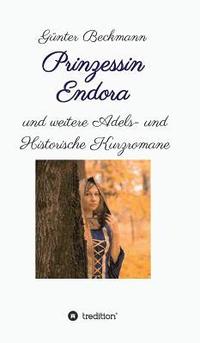 bokomslag Prinzessin Endora