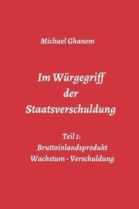 bokomslag Im Würgegriff der Staatsverschuldung