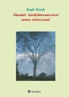 bokomslag Chautari - Geschichten aus einem armen, reichen Land