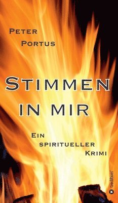 bokomslag Stimmen in mir - Ein spiritueller Krimi