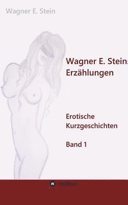 bokomslag Wagner E. Steins Erzählungen