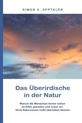 bokomslag Das Überirdische in der Natur