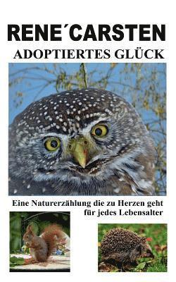 bokomslag Adoptiertes Glück