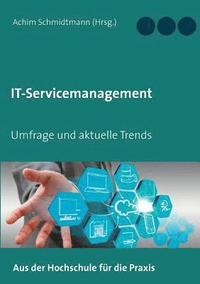 bokomslag IT-Servicemanagement (in OWL)