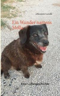 bokomslag Ein Wunder namens Molla