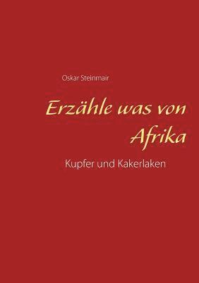 bokomslag Erzähle was von Afrika