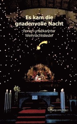 Wolfgang Link - Es kam die gnadenvolle Nacht, Häftad