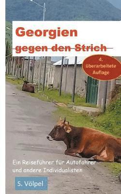 bokomslag Georgien gegen den Strich