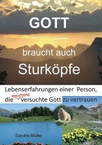 bokomslag Gott braucht auch Sturkpfe