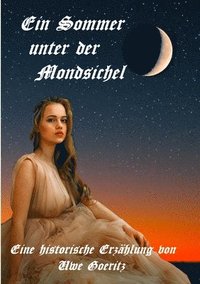 bokomslag Sommer unter der Mondsichel