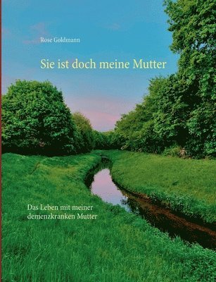 Rose Goldmann - Sie ist doch meine Mutter, Häftad