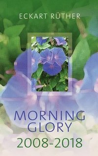 bokomslag Morning Glory 2008-2018