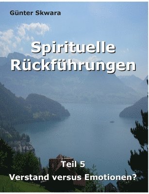 bokomslag Spirituelle Rckfhrungen