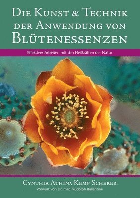 bokomslag Die Kunst & Technik der Anwendung von Bltenessenzen