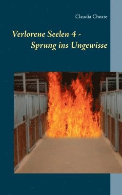 Verlorene Seelen 4 - Sprung ins Ungewisse