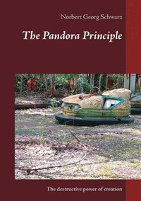 bokomslag The Pandora Principle