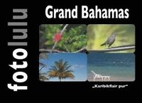 bokomslag Grand Bahamas