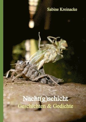 bokomslag Nacht(g)schicht