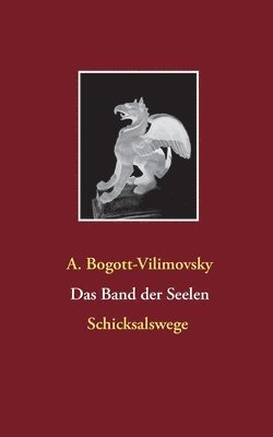 bokomslag Band der Seelen - Schicksalswege