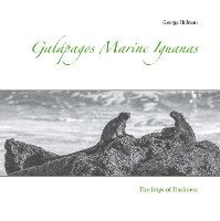 bokomslag Galápagos Marine Iguanas