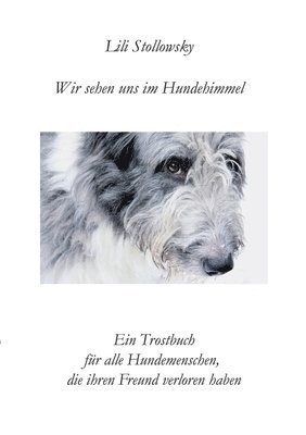 bokomslag Wir sehen uns im Hundehimmel