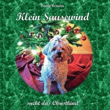 bokomslag Klein Sausewind