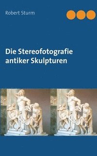 bokomslag Die Stereofotografie antiker Skulpturen