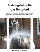 bokomslag Trainingslehre für das Reitpferd