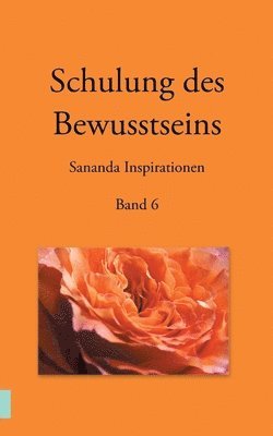 bokomslag Schulung des Bewusstseins - Sananda Inspirationen