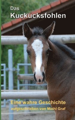 bokomslag Kuckucksfohlen