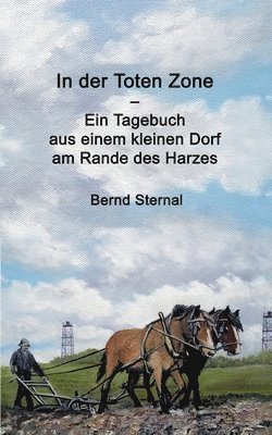 bokomslag In der Toten Zone