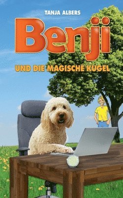 bokomslag Benji und die magische Kugel