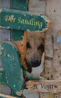 bokomslag Der Sandling