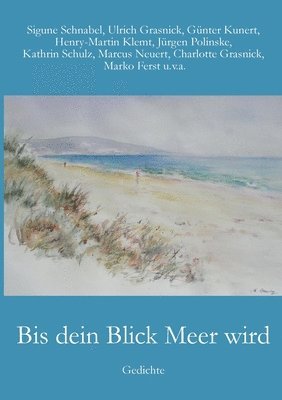 bokomslag Bis dein Blick Meer wird