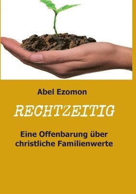 bokomslag Rechtzeitig