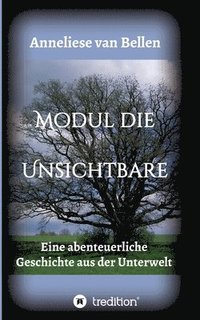 bokomslag Modul die Unsichtbare: Eine abenteuerliche Geschichte aus der Unterwelt.