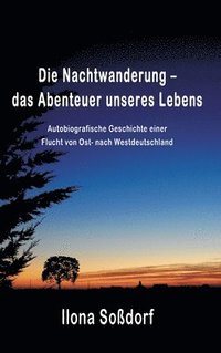 bokomslag Die Nachtwanderung - das Abenteuer unseres Lebens