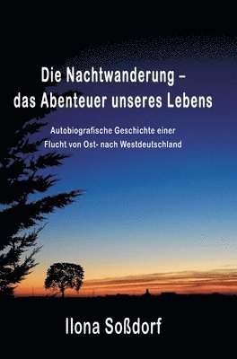 bokomslag Die Nachtwanderung - das Abenteuer unseres Lebens