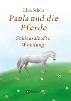 bokomslag Paula und die Pferde: Schicksalhafte Wendung