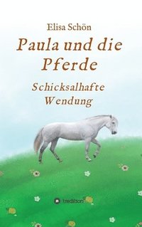 bokomslag Paula und die Pferde: Schicksalhafte Wendung